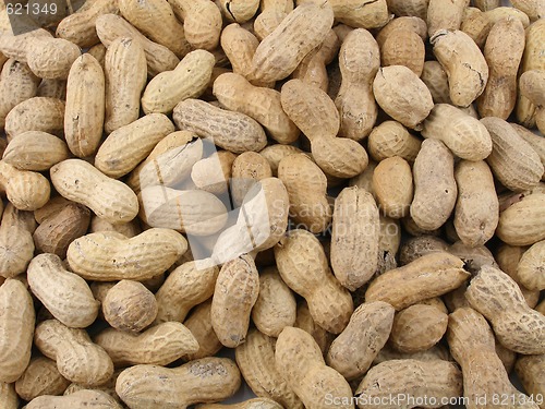 Image of Peanuts