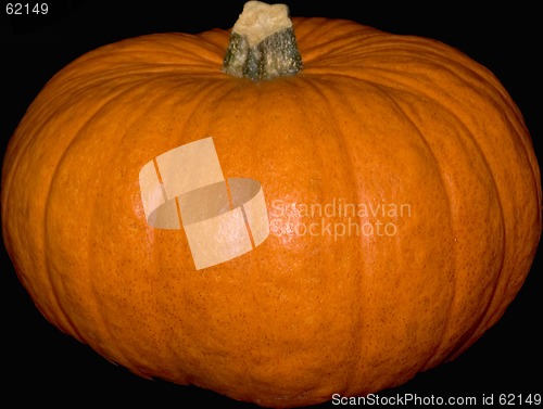 Image of pumpkin