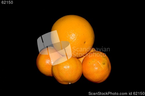 Image of orange