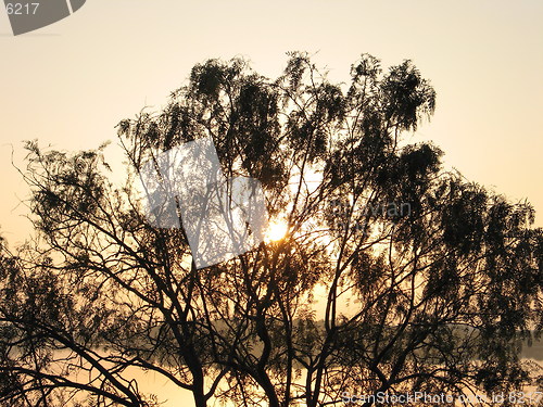 Image of Sun fire. Larnaca. Cyprus