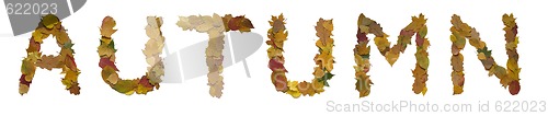 Image of Word autumn