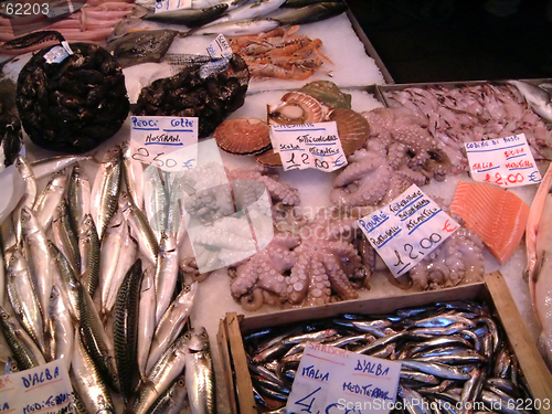 Image of fish market