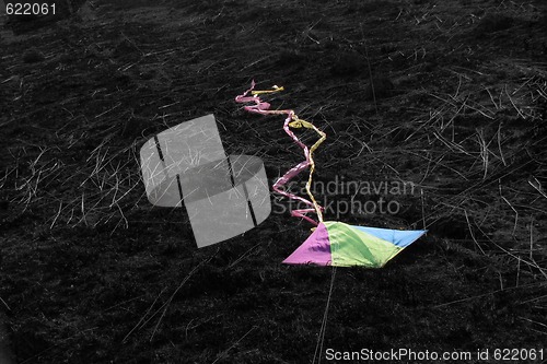 Image of Laying kite 