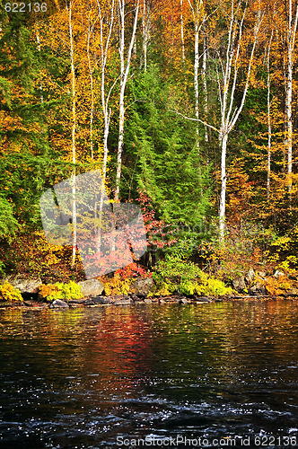 Image of Fall forest and lake shore