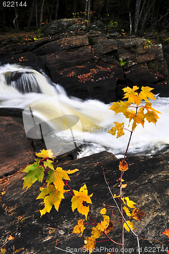 Image of Forest river in the fall