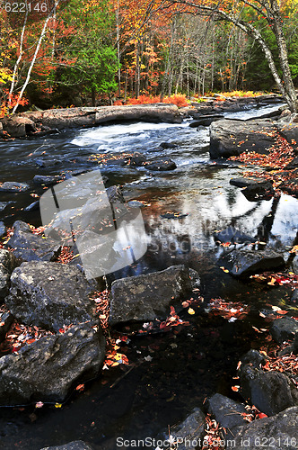 Image of Fall forest and river landscape