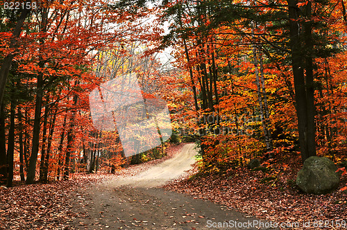 Image of Autumn landscape with a path