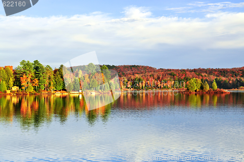 Image of Fall forest reflections