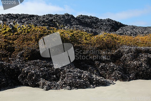 Image of Striped Rock