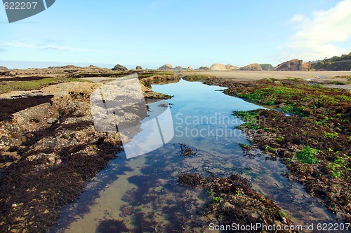 Image of Tidepool