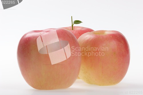 Image of Fruits, Rose Apple