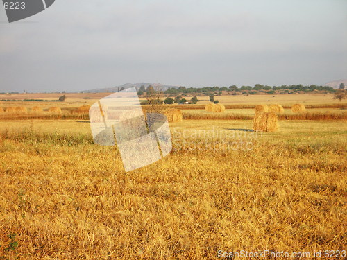 Image of Magic fields. Cyprus