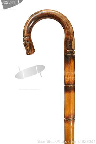 Image of Cane
