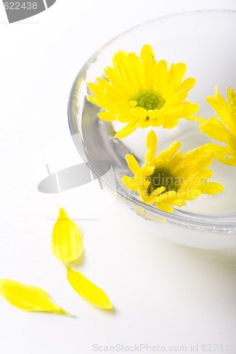 Image of yellow flowers