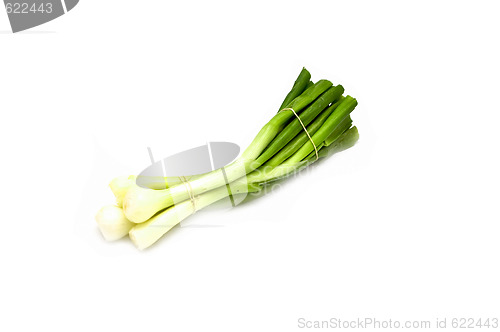 Image of Bunch of spring onion