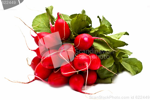 Image of Bunch of fresh radish