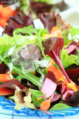 Image of Mixed vegetable salad