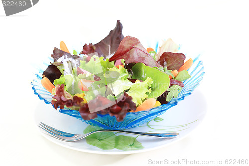 Image of Mixed vegetable salad