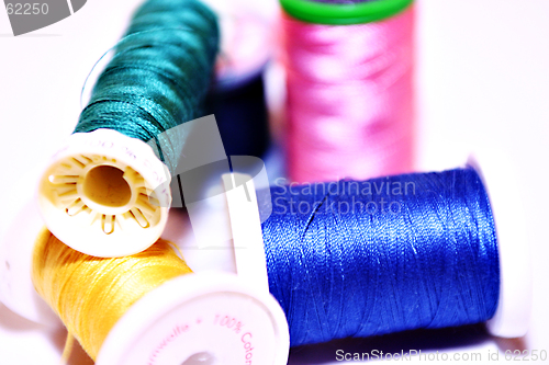 Image of Colors And Cotton