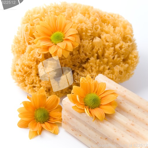 Image of natural sponge, soap and flowers