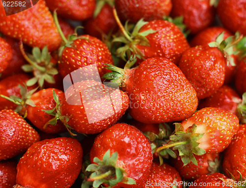 Image of Strawberry