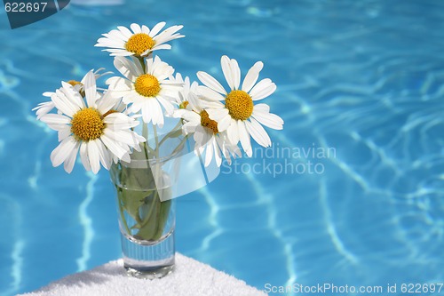 Image of Daisies by Blue Water