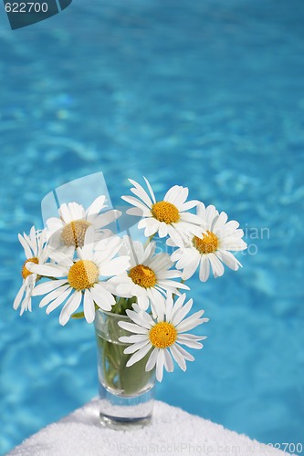 Image of Daisies by Blue Water