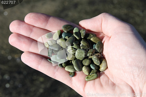 Image of Beach souvenirs