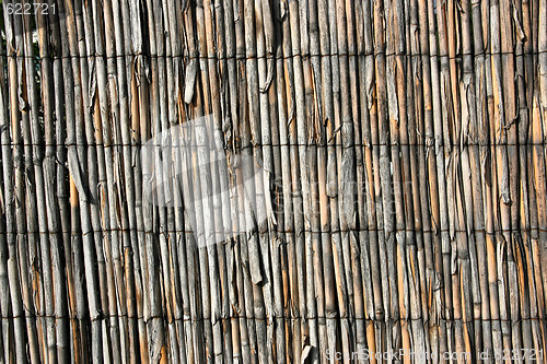 Image of Bamboo texture