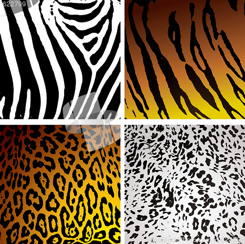 Image of animal skin variation