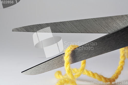 Image of Scissors macro