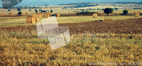 Image of Fields panorama. Cyprus