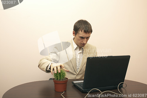 Image of Man working on laptop