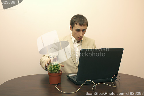 Image of Man working on laptop