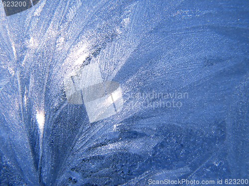 Image of Frozen window