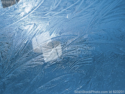 Image of Frozen window 2