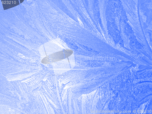 Image of Frozen window