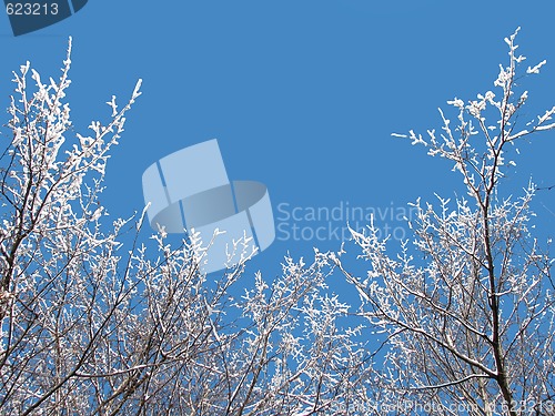 Image of Winter sky