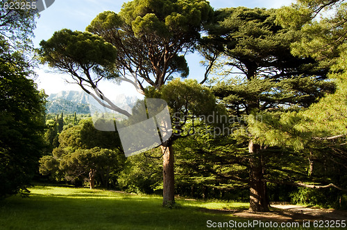 Image of Vorontsovskiy park in Alupka Ukraine