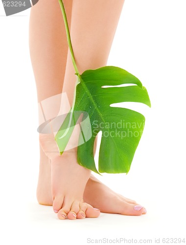 Image of female legs with green leaf