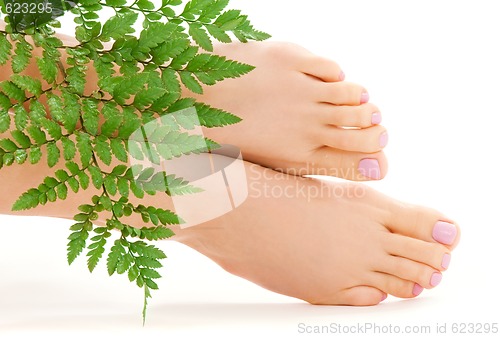 Image of female feet with green leaf