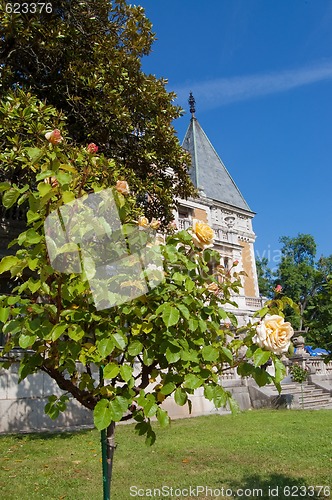 Image of massandra palace