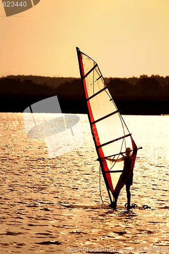 Image of Sunset windsurfing