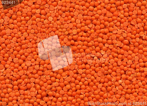 Image of Lentils texture