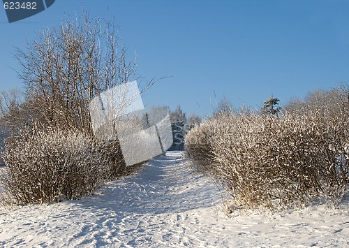 Image of Winter alley