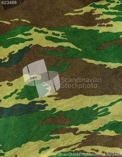 Image of Camouflage texture