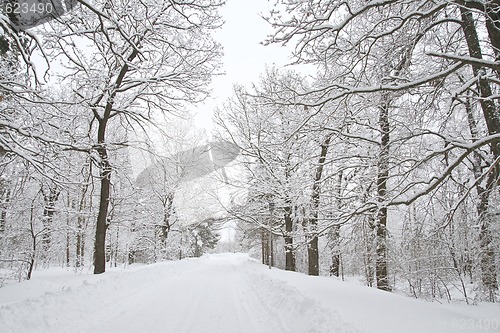 Image of Winter alley