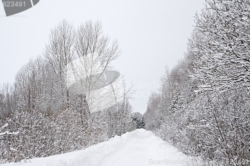 Image of Winter alley