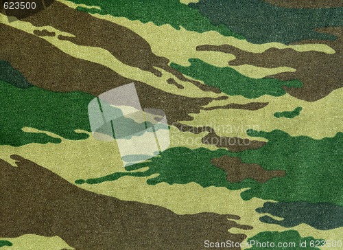 Image of Camouflage texture