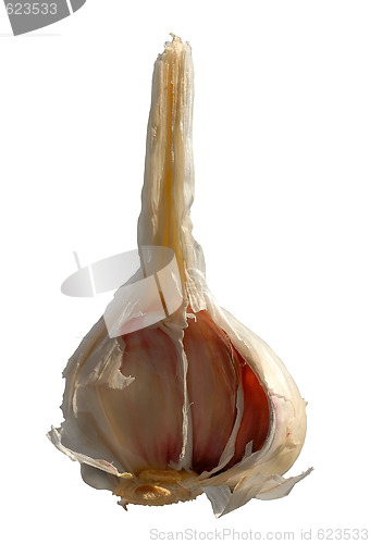 Image of Garlick